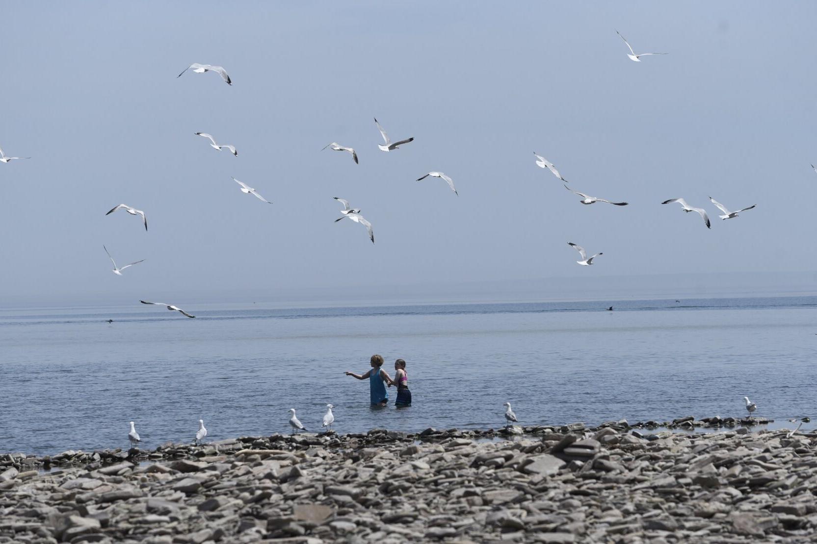 Stay out of the water at three Halton public beaches